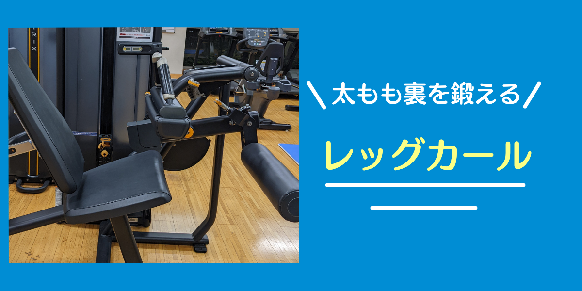 レッグカール