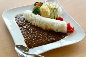 ダムカレーの写真